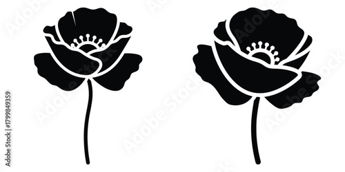 poppy silhouette flowers isolated on transparent background