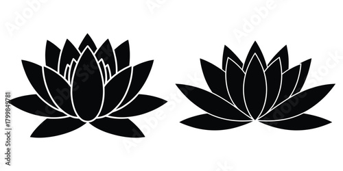 water lily silhouette flowers isolated on transparent background