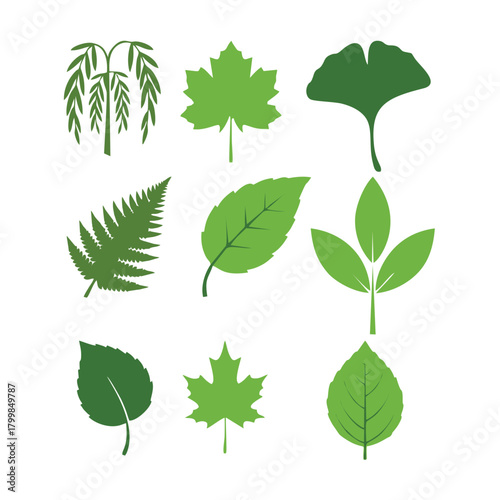 Mint green vector illustration set. Mint logo vector