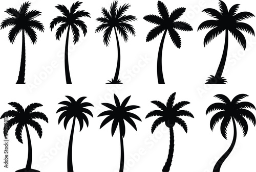 Palm tree silhouette illustration set with varied trunk shapes and frond styles in black vector style