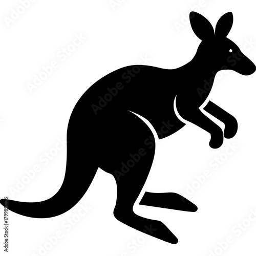 kangaroo vector illustration