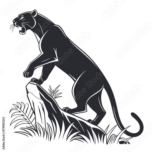 vector illustration of a lion