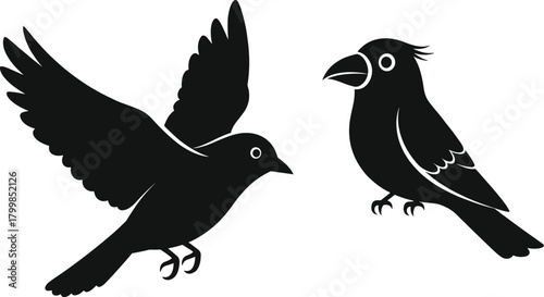 Bird silhouettes, flying bird, perched bird, stylized, black, vector, isolated, white background, minimal, contrast, feather, wings, beak, eyes, animal, avian, graphic, design, nature, illustration