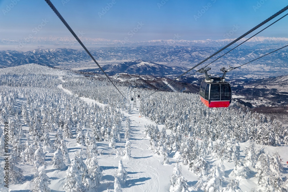 Naklejka premium Scenic cable cars fly over forests of giant Juhyo (ice trees or snow monsters) on the snowy slope under blue clear sky on a sunny winter day in Zao hot spring and ski resort in Yamagata, Tohoku, Japan