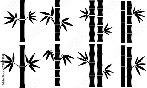 Bamboo stalks and leaves collection Vector