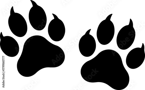 Wild animal paw prints with sharp claws silhouette. Black vector icon of predator tracks from a wolf, tiger, or bear. Symbol of wildlife and power, isolated on a white background.