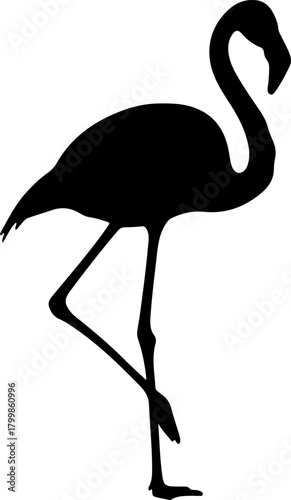 Elegant flamingo silhouette standing on one leg. Isolated black vector icon of a graceful tropical bird in its classic pose. A symbol of summer and exotic wildlife, on a clean white background.