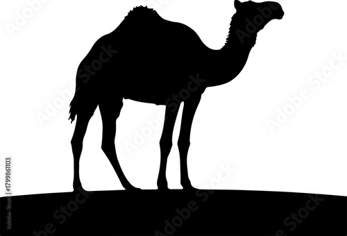 Black silhouette of a dromedary camel standing on the ground. Isolated vector graphic icon of a one-humped desert animal, a symbol of travel and endurance, against a clean white background.