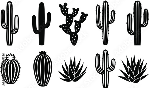 Stylized cactus and succulent plant vector set, black and white botanical illustration, desert flora silhouette, minimal nature graphic collection