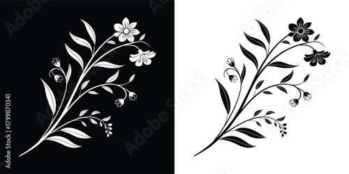 A delicate botanical illustration of a flowering branch with small blossoms and leaves, presented in both positive and negative formats on contrasting backgrounds