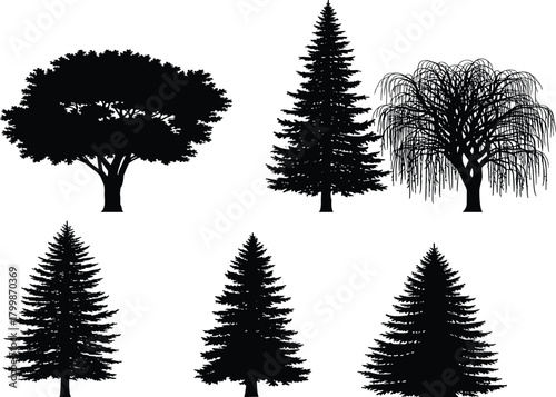 Tree silhouette collection, deciduous rounded canopy, evergreen conifer shapes, weeping willow design, botanical illustration set, forest landscape vector art, ecology environment graphics