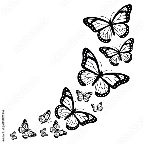 Black and white graphic butterflies soaring upwards vector art isolated on white background, Vector