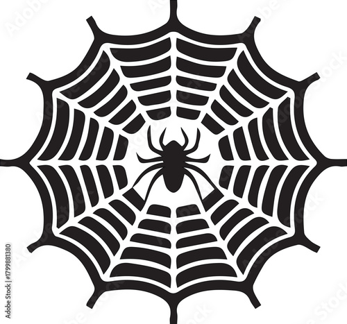 Macro photo of an arachnid on a dew-covered spiderweb net, a perfect nature pattern and trap