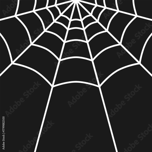 White spider web decoration on black background. Vector illustration