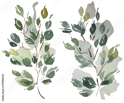 Watercolor leaves, branches, tree, hand drawn image