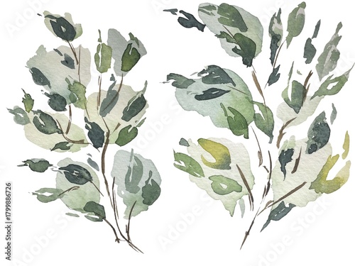Watercolor leaves, branches, tree, hand drawn image
