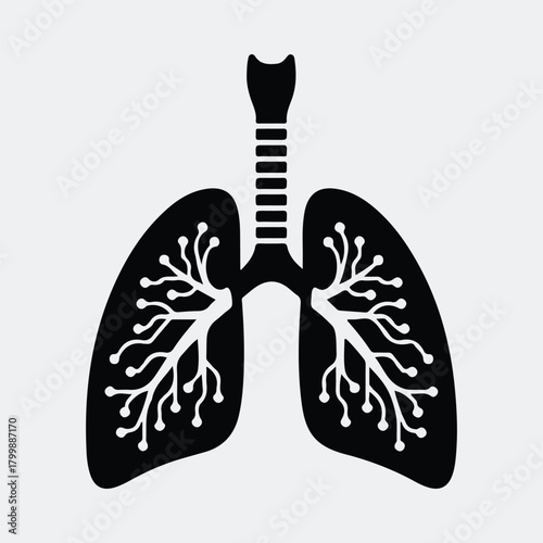 Silhouette human lungs with bronchioles respiratory system vector illustration
