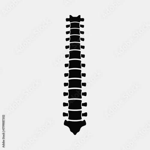Silhouette human spine anatomy chiropractic backbone skeletal system vector illustration