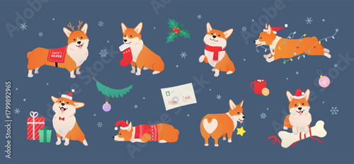 Cute Christmas Corgi Vector Set. Holiday Dog characters and Christmas Decor. Adorable pet wearing holiday outfits and Santa's hat in different poses