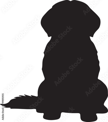 Silhouette of a fluffy dog standing