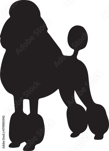 Silhouette of a fluffy dog standing