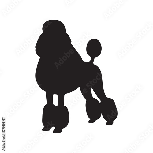 Silhouette of a fluffy dog standing