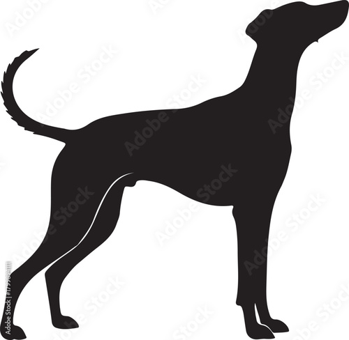 Silhouette of a fluffy dog standing