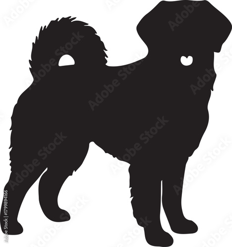 Silhouette of a fluffy dog standing