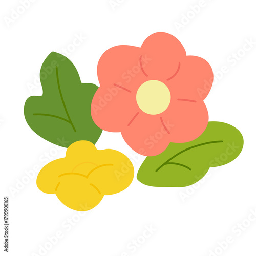 orange flower isolated on white background