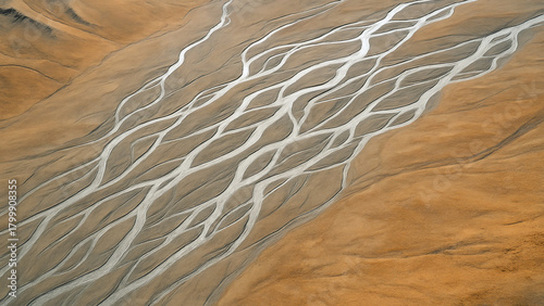 Aerial view of braided river delta in arid landscape