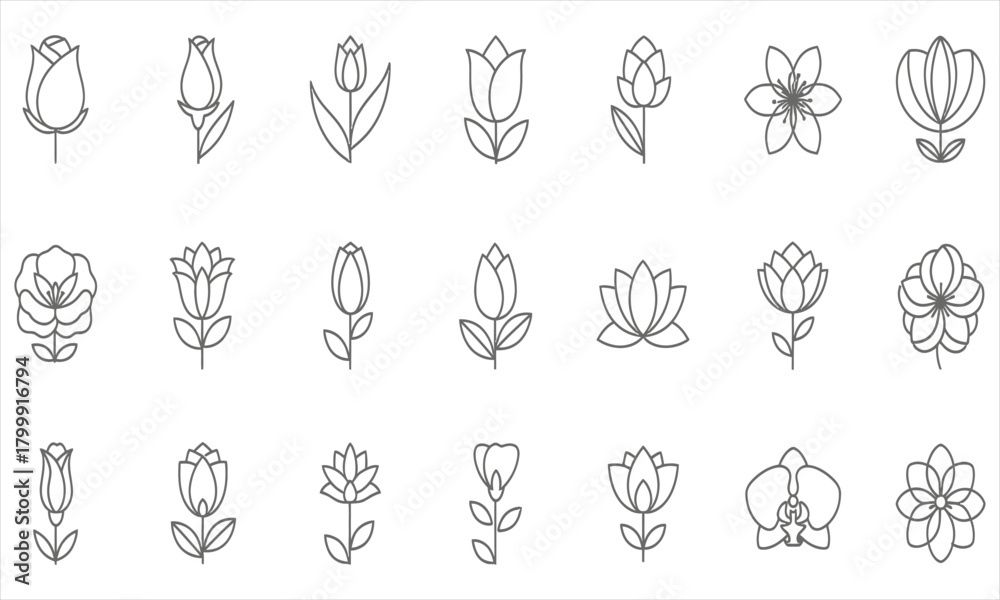 Fototapeta premium Set of Elegant Flower Icons and Floral Elements in Linear Style for Design and Decoration
