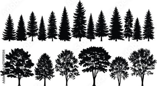 Collection of tree silhouettes, pine and deciduous forest vector illustration, nature landscape elements for outdoor design, environment, and eco background decoration