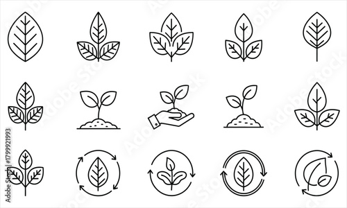 Versatile Set of Line Art Icons Depicting Leaves, Plants, Growth, and Eco-Friendly Concepts for Nature and Sustainability Designs