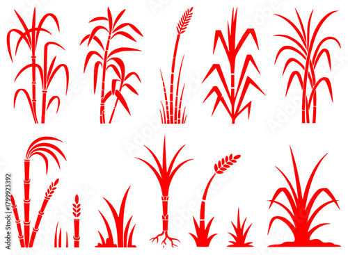 Red Silhouettes of Sugarcane and Grass Plants
