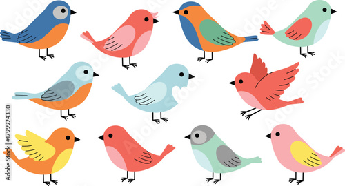 Cute colorful birds vector set with adorable songbirds in different poses for spring nature decorations and children’s illustration design