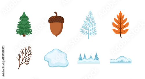 Winter and autumn nature elements with tree, acorn, snow isolated on