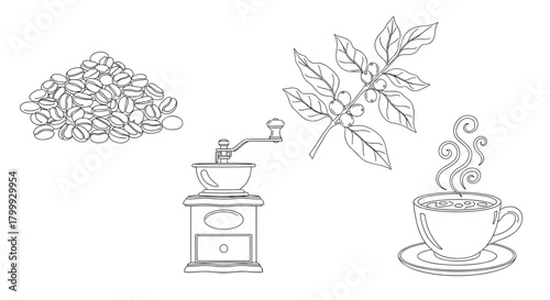 Coffee elements isolated on bean, mill, branch, cup line art style