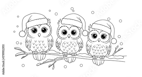 Three cute owls wearing santa hats isolated on, winter holiday art