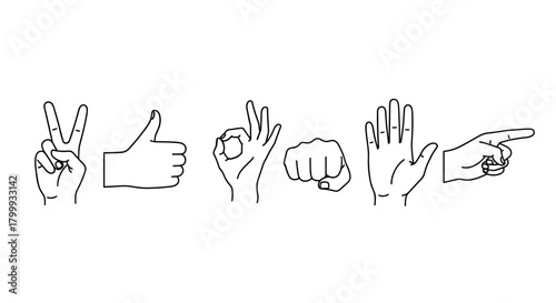 Collection of hand gestures, including peace sign, thumbs up, ok sign isolated on