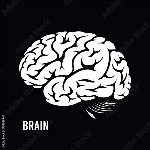 Minimalist Human Brain Silhouette for Neuroscience