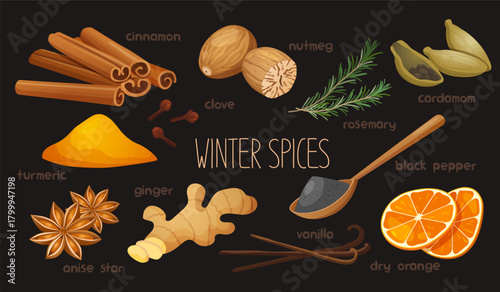 Illustration of winter spices on a black background, including cinnamon sticks, nutmeg, cloves, turmeric powder, anise stars, ginger root, rosemary sprigs, cardamom pods, black pepper etc.