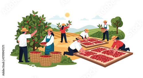 Farmers diligently harvest fresh berries under a sunny sky, showcasing agricultural abundance and sustainable farming practices