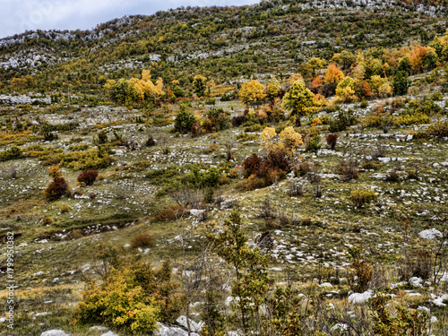 Beautiful autumn colors on the mountain range. Montenegro