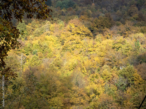 Beautiful colorful autumn scenery along the Piva River. Montenegro