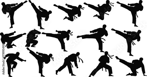 martial, arts, silhouette, posture, motion, kick, belt, stance, headband, icon, jump, strike, style, pose