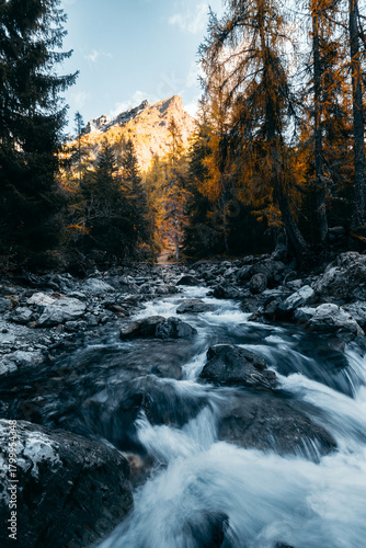 mountain river in the autumn