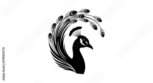 Elegant black peacock with ornate plumage and detailed crest rendered in artistic silhouette.