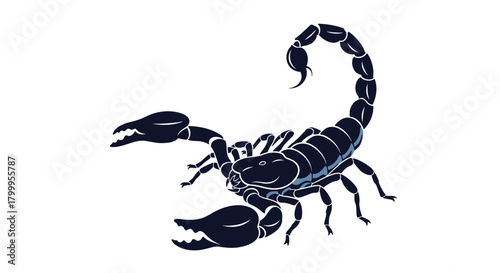 Detailed illustration of a dark blue scorpion with intricate patterns showcasing its menacing claws and segmented tail against a white background.