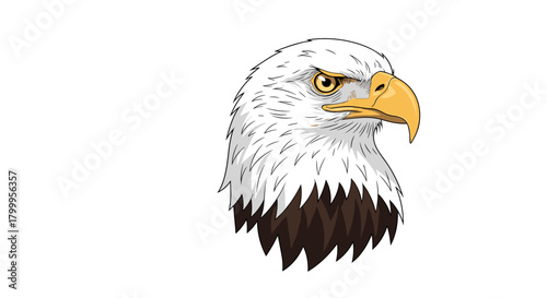 Detailed realistic illustration of a majestic bald eagle's head looking intensely forward.