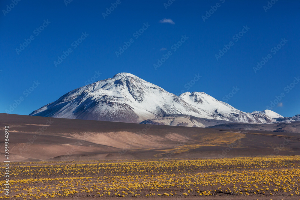 Naklejka premium Northern Chile